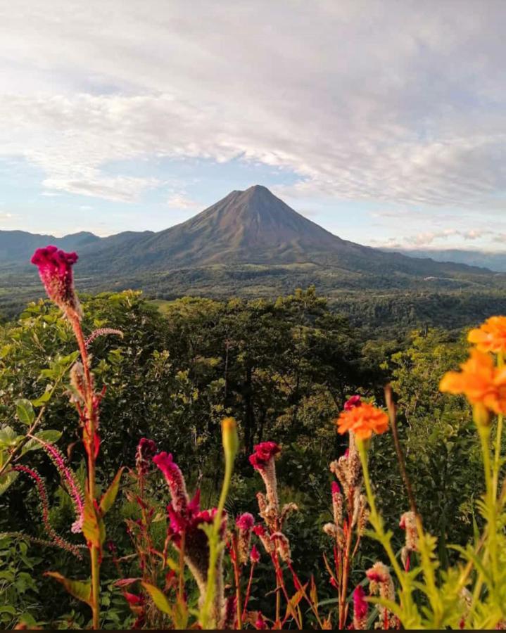Las Pavitas Cottages La Fortuna Exteriör bild