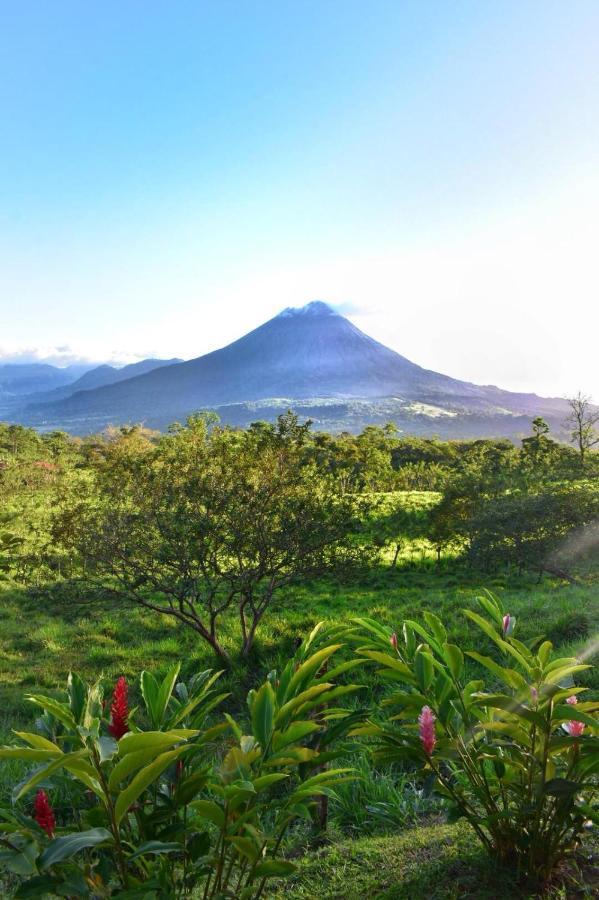 Las Pavitas Cottages La Fortuna Exteriör bild